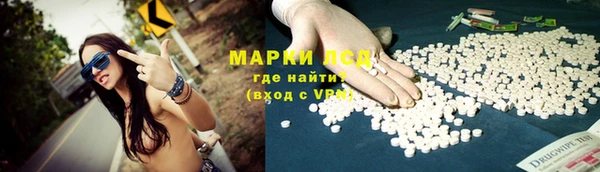 крисы Магадан