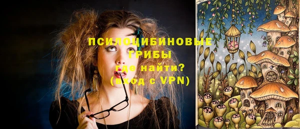 стафф Магас