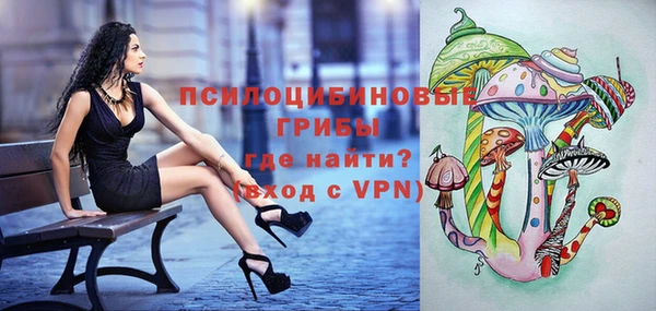 стафф Магас