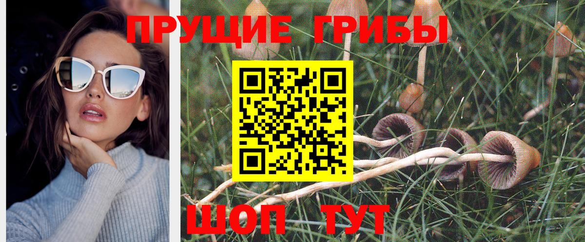 Галлюциногенные грибы прущие грибы Нижнекамск