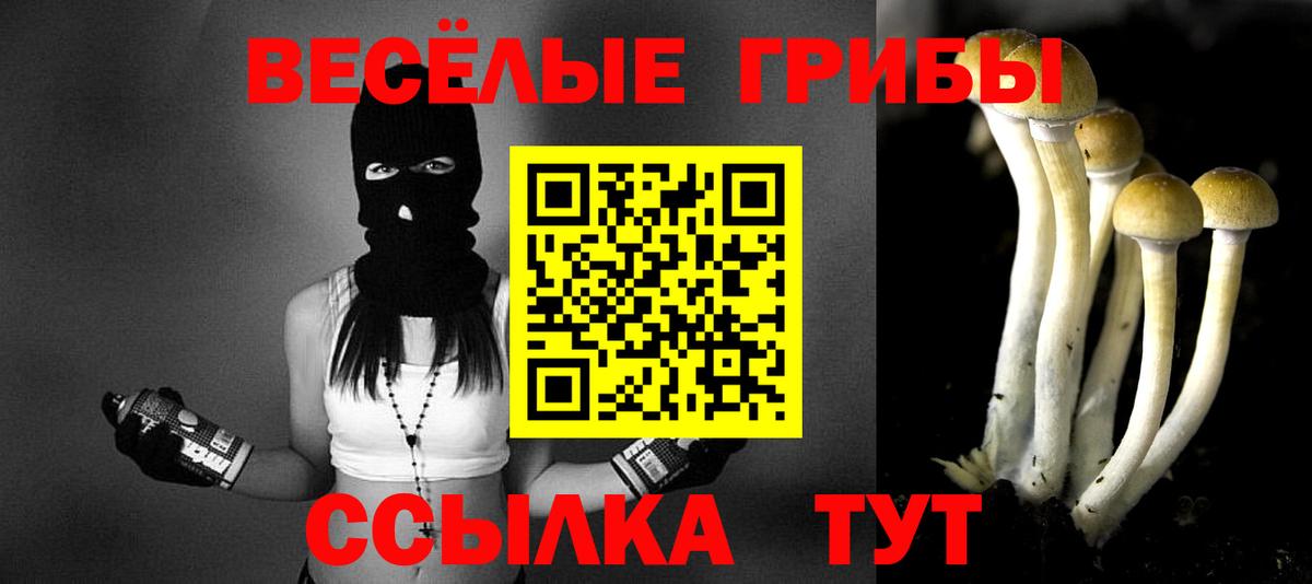 наркота  Вход с VPN  Нижнекамск  Псилоцибиновые грибы мухоморы 