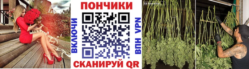 купить  сайты  Нижнекамск  Каннабис Amnesia 